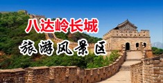 毛茸茸白桨中国北京-八达岭长城旅游风景区