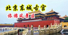 淫语骚货自慰中国北京-东城古宫旅游风景区